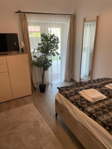 בדקסוניטומאי Szoegedi Villa מראה חיצוני תמונה